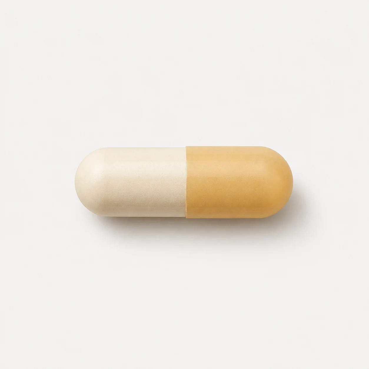 Digestive Enzymes