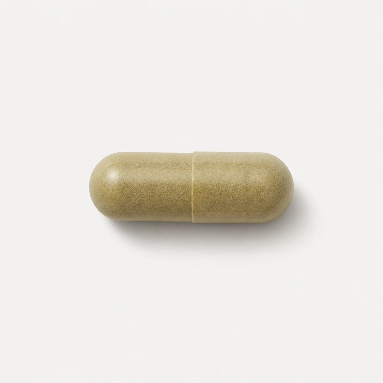 Milk Thistle