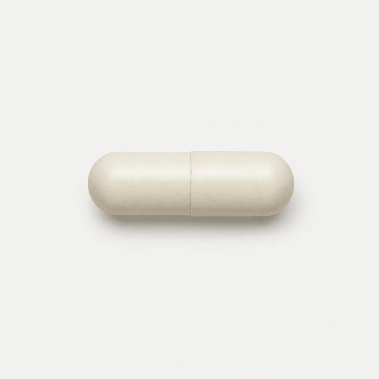 White Kidney Bean